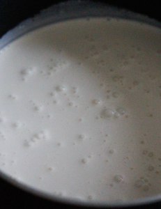 homemade-coconut-ice-cream