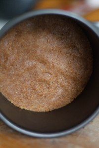 gluten-free-biscuit-base